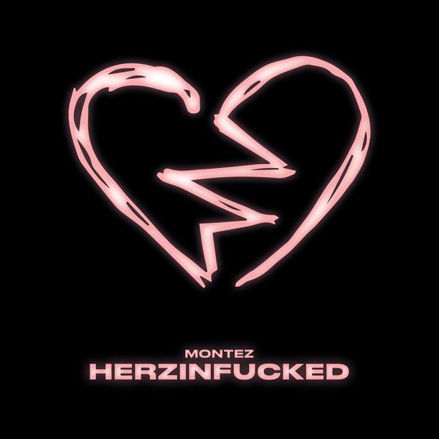 Album cover art for HERZINFUCKED