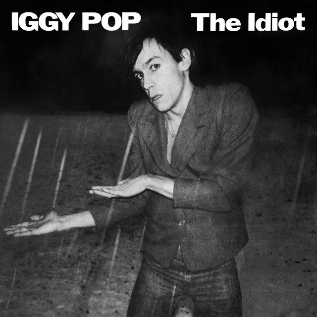 Album cover art for The Idiot