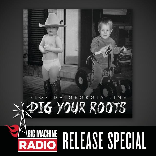 Album cover art for Dig Your Roots