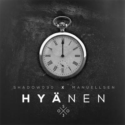 Album cover art for Hyänen