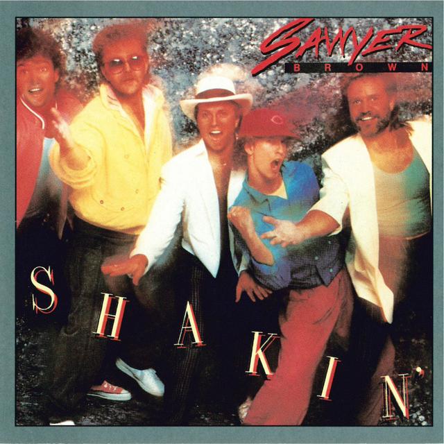 Album cover art for Shakin'