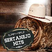 Album cover art for Sertanejo Hits