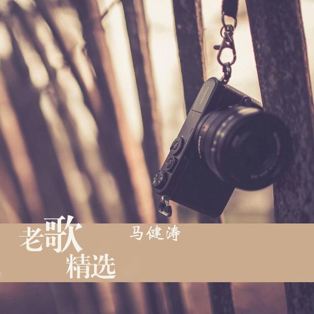 Album cover art for 老歌精选