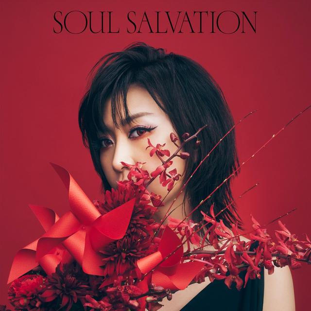 Album cover art for Soul salvation