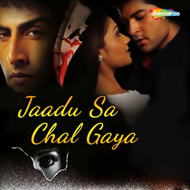 Album cover art for Jaadu Sa Chal Gaya