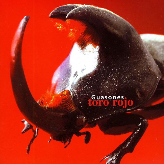 Album cover art for Toro Rojo