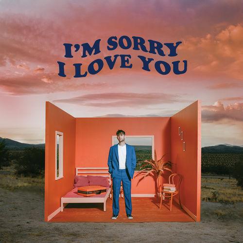 Album cover art for I'm Sorry I Love You