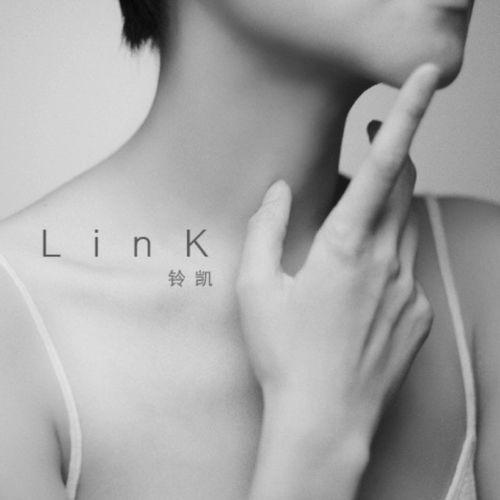 Album cover art for LinK