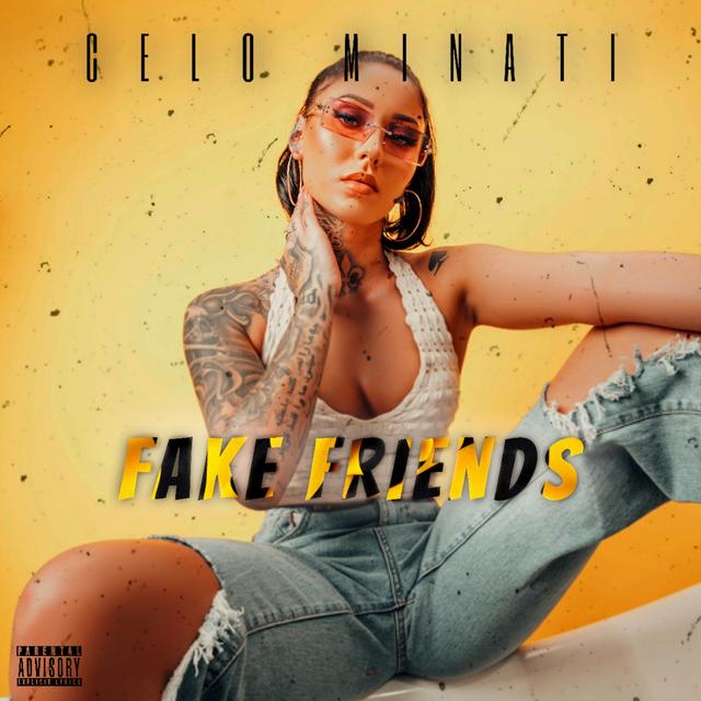 Album cover art for Fake Friends