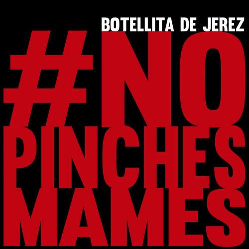 Album cover art for #Nopinchesmames