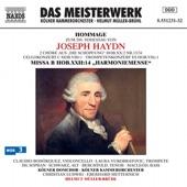 Album cover art for Hommage zum 200. Todestag von Joseph Haydn