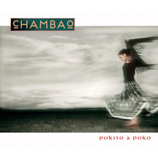 Album cover art for Pokito a Poko