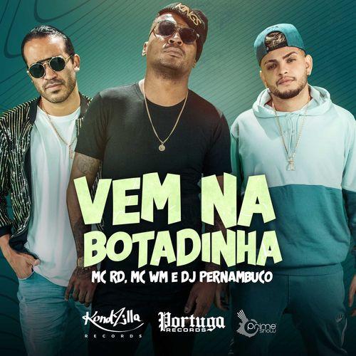 Album cover art for Vem Na Botadinha