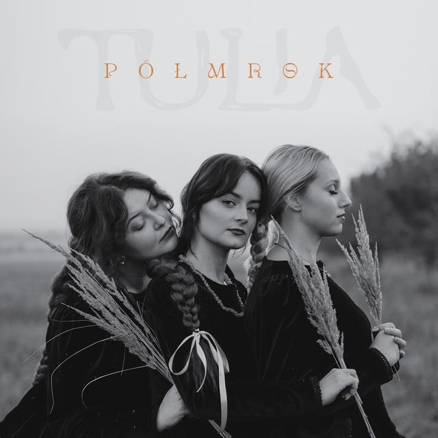 Album cover art for Półmrok