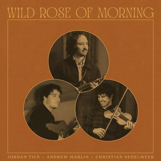 Album cover art for Wild Rose of Morning