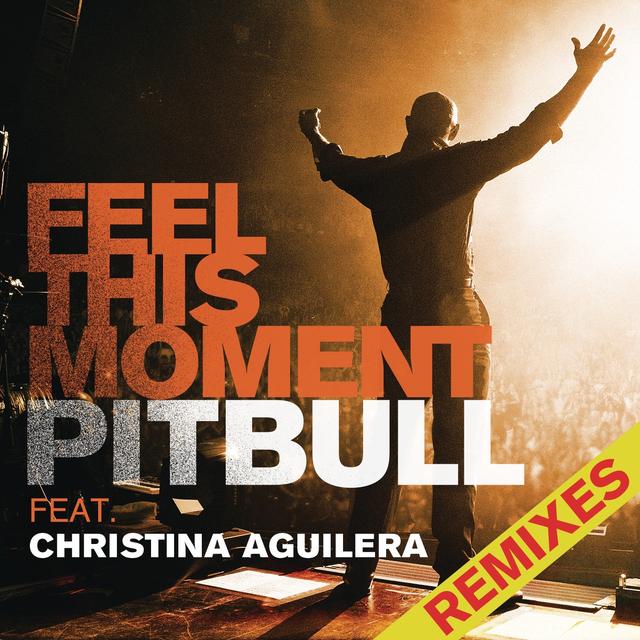 Album cover art for Feel This Moment : Remixes