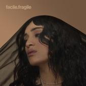 Album cover art for Facile x Fragile