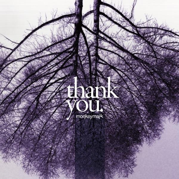 Album cover art for Thank You