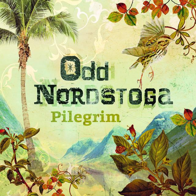 Album cover art for Pilegrim