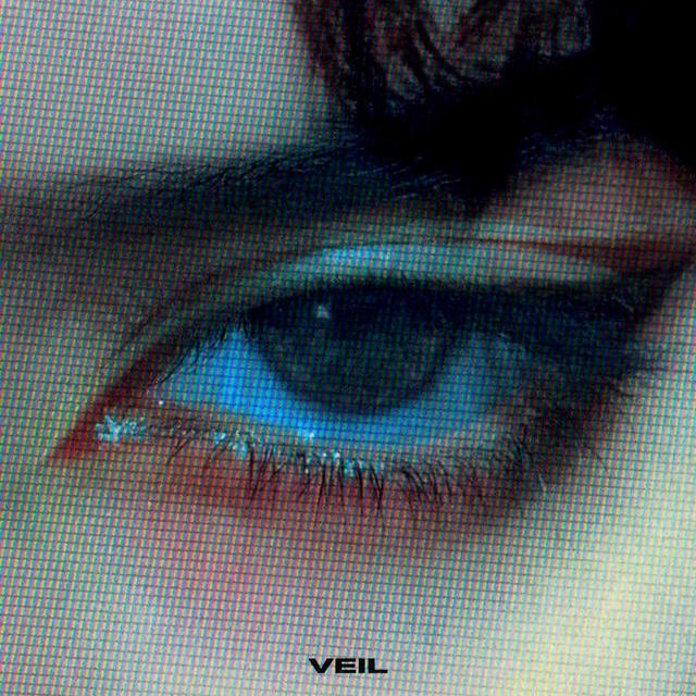 Album cover art for veil