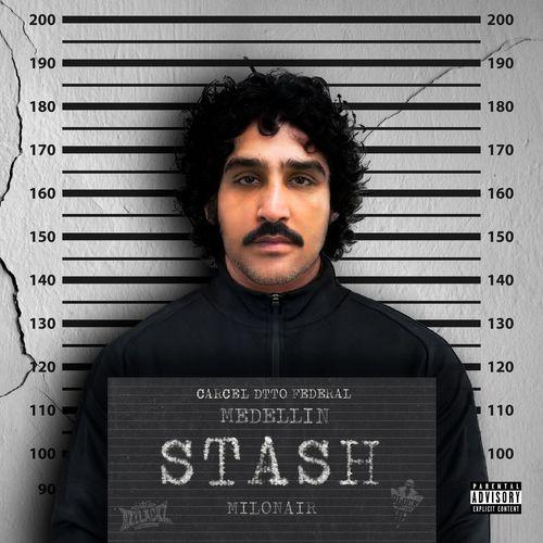 Album cover art for STASH