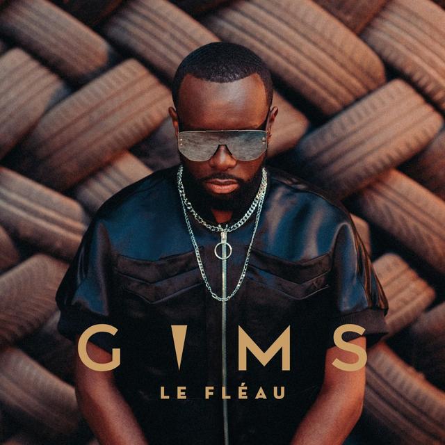 Album cover art for Le Fléau