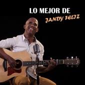 Album cover art for Lo Mejor de Jandy Feliz