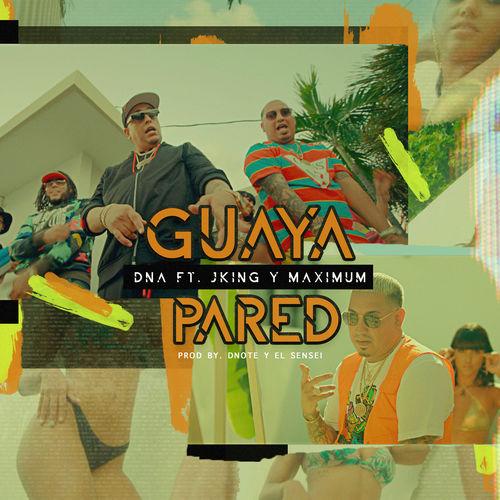 Album cover art for Guaya Pared