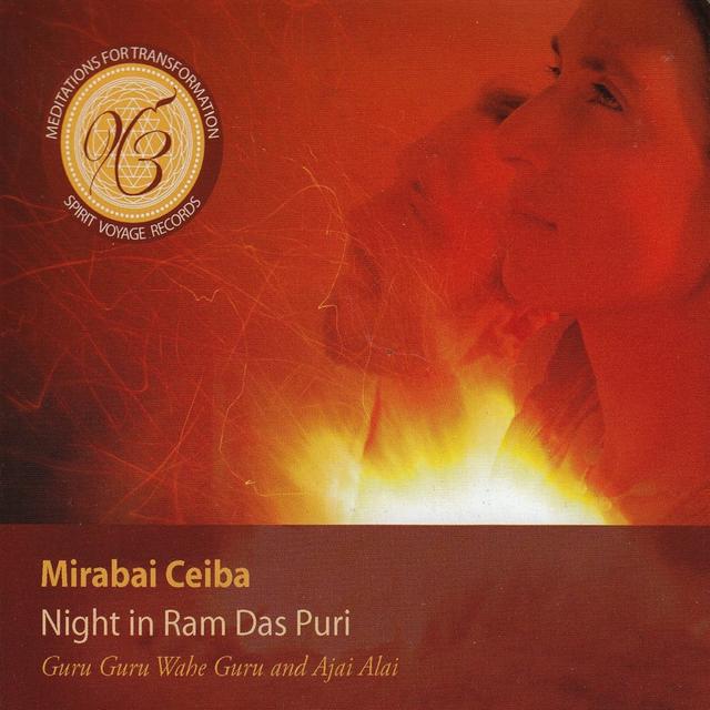 Album cover art for Night in Ram Das Puri