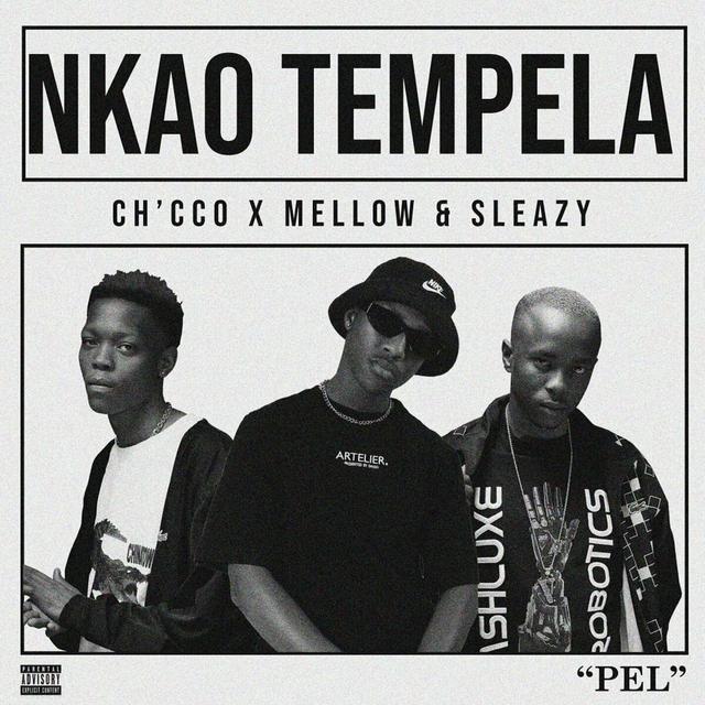 Album cover art for Nkao Tempela