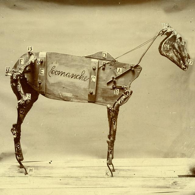 Album cover art for The Horse Comanche