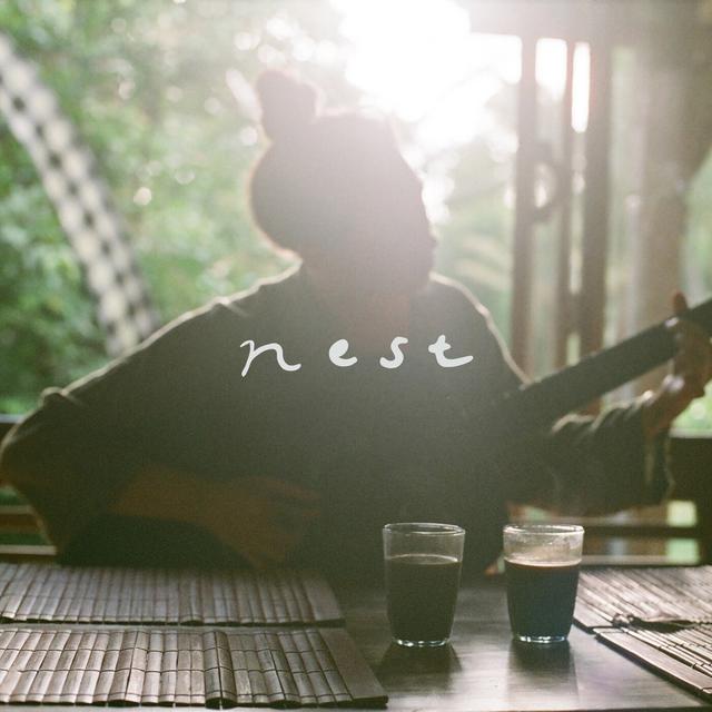 Album cover art for Nest