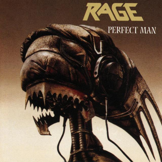 Album cover art for Perfect Man