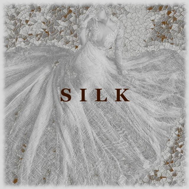 Album cover art for Silk