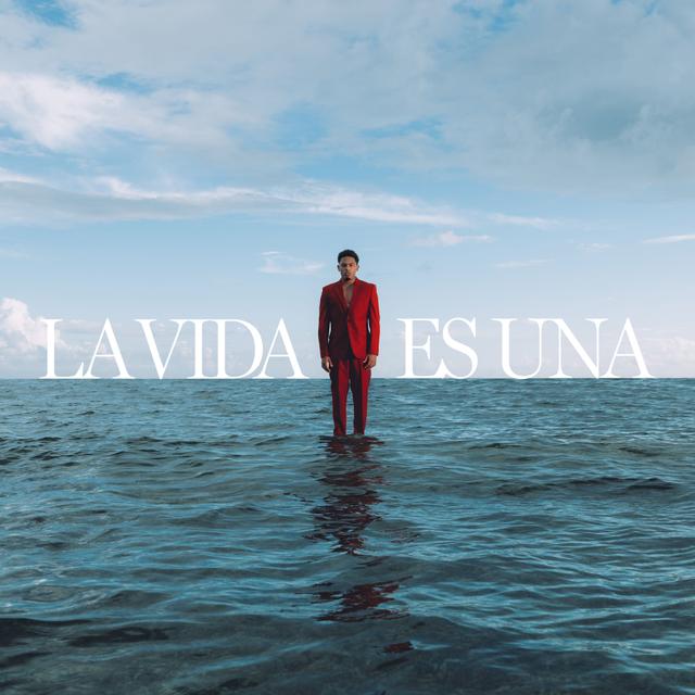 Album cover art for LA VIDA ES UNA