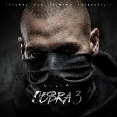 Album cover art for Cobra 3