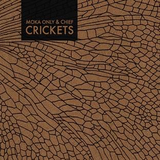 Album cover art for Crickets