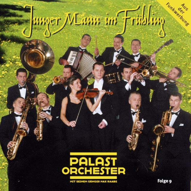 Album cover art for Junger Mann Im Frühling - Folge 9