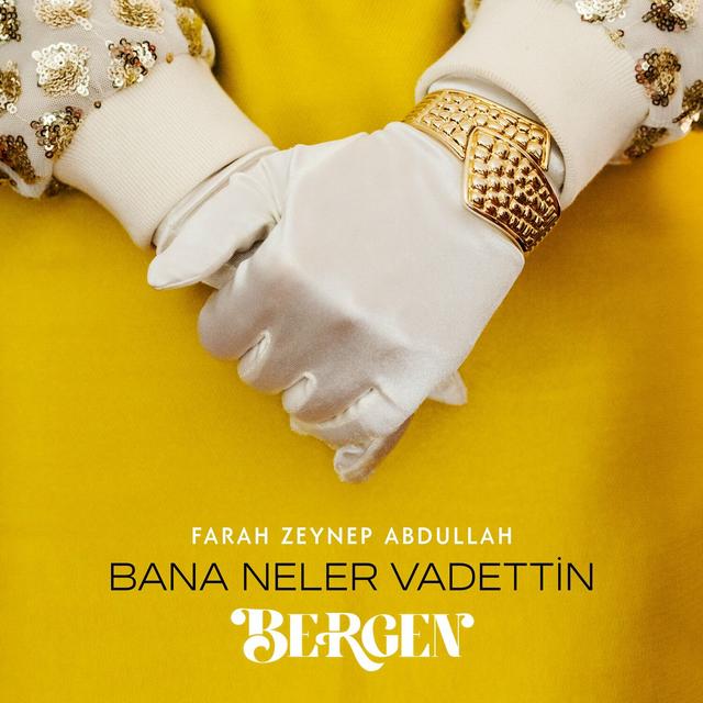 Album cover art for Bana Neler Vadettin