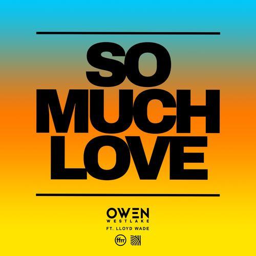 Album cover art for So Much Love (feat. Lloyd Wade)