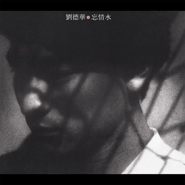 Album cover art for 忘情水