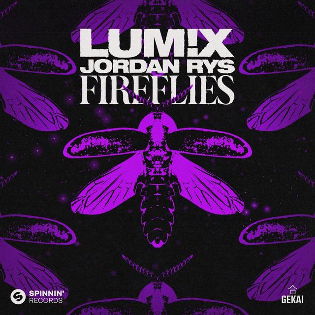 Album cover art for Fireflies