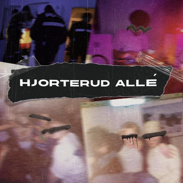 Album cover art for Hjorterud Allé