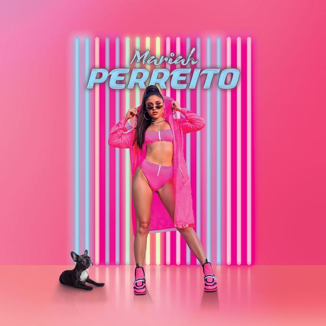 Album cover art for Perreito