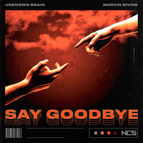 Album cover art for Say Goodbye