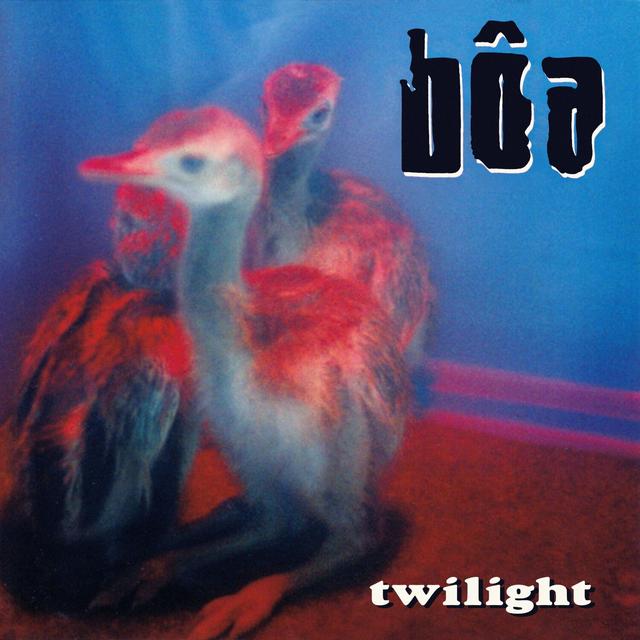 Album cover art for Twilight