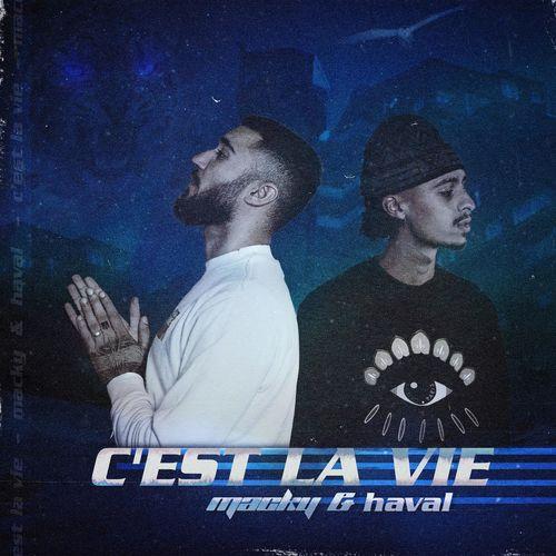 Album cover art for C'est la vie