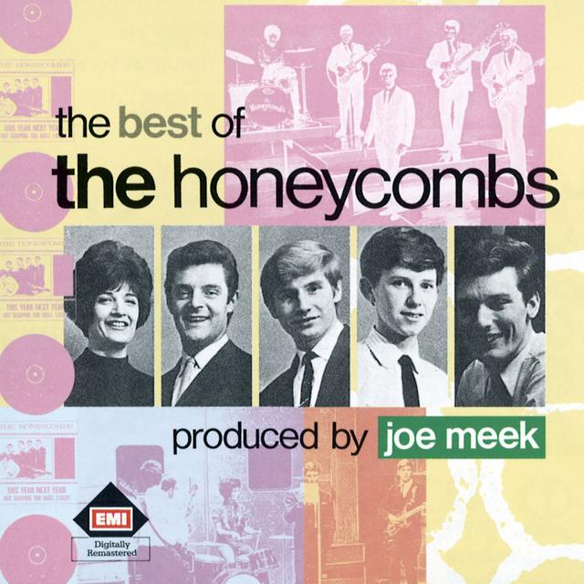 Album cover art for The Best of the Honeycombs