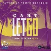 Album cover art for Cant Let Go