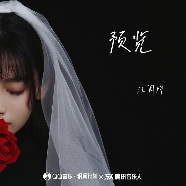 Album cover art for 预览